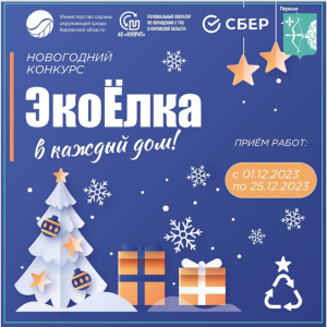 1 декабря стартовал областной конкурс «ЭкоЁлка в каждый дом!»