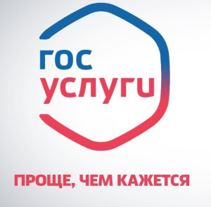 О предоставлении государственных и муниципальных услуг в электронной форме