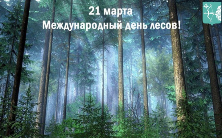 Международный день лесов отмечают ежегодно 21 марта