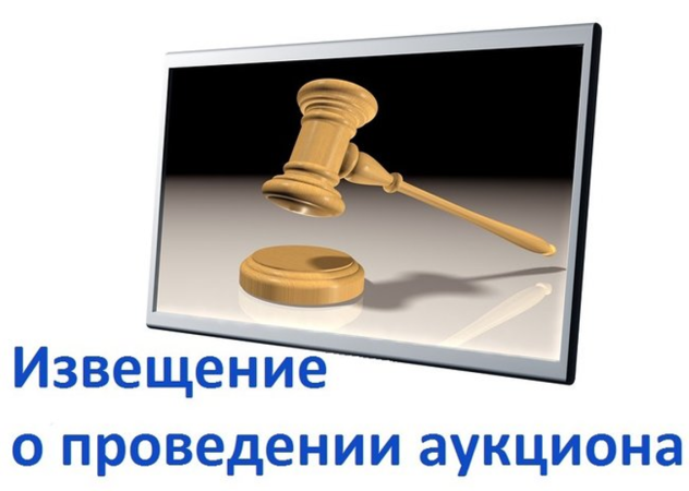 Аукцион в электронной форме на право заключения договоров аренды государственного имущества