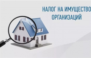 Стартовала декларационная кампания по налогу на имущество организаций за 2022 год 