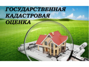 Государственная кадастровая оценка объектов недвижимости в 2023 году