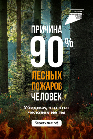 О профилактике лесных пожаров