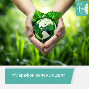 Проведение всероссийской  экологической акции "Экосистема: марафон зеленых дел"