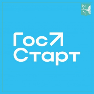 Федеральным агентством по делам молодежи Российской Федерации запущена программа «ГосСтарт»