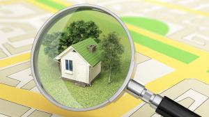 Извещение о размещении проекта отчета по результатам государственной кадастровой оценки