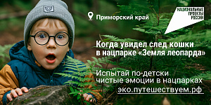 О нацпроекте «Экологическое благополучие»