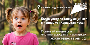 О нацпроекте «Экологическое благополучие»