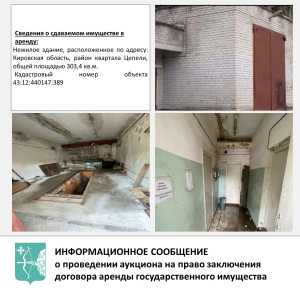 О проведении аукциона в электронной форме на право заключения  договора аренды государственного имущества